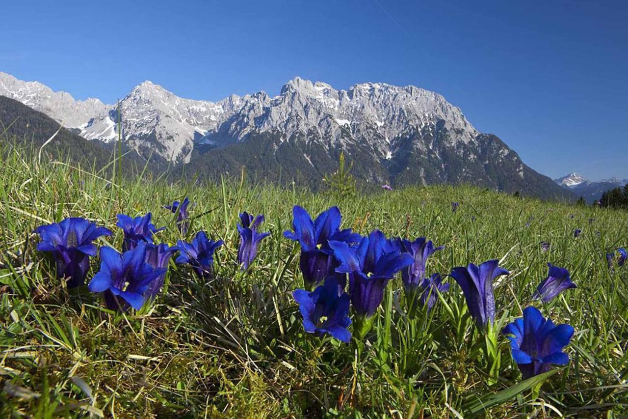 Landhaus Geierstanger Вальгау Экстерьер фото